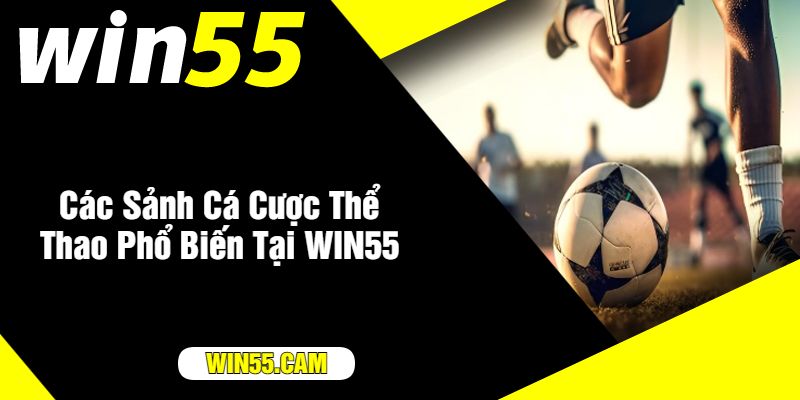 Các Sảnh Cá Cược Thể Thao Phổ Biến Tại WIN55