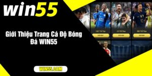 Giới Thiệu Trang Cá Độ Bóng Đá WIN55