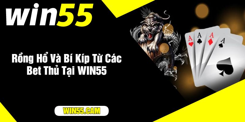 Rồng Hổ Và Bí Kíp Từ Các Bet Thủ Tại WIN55