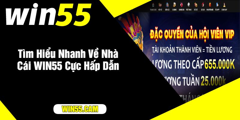 Tìm Hiểu Nhanh Về Nhà Cái WIN55 Cực Hấp Dẫn